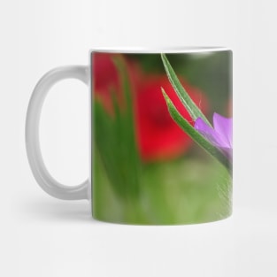 Corncockle in the Poppies Mug